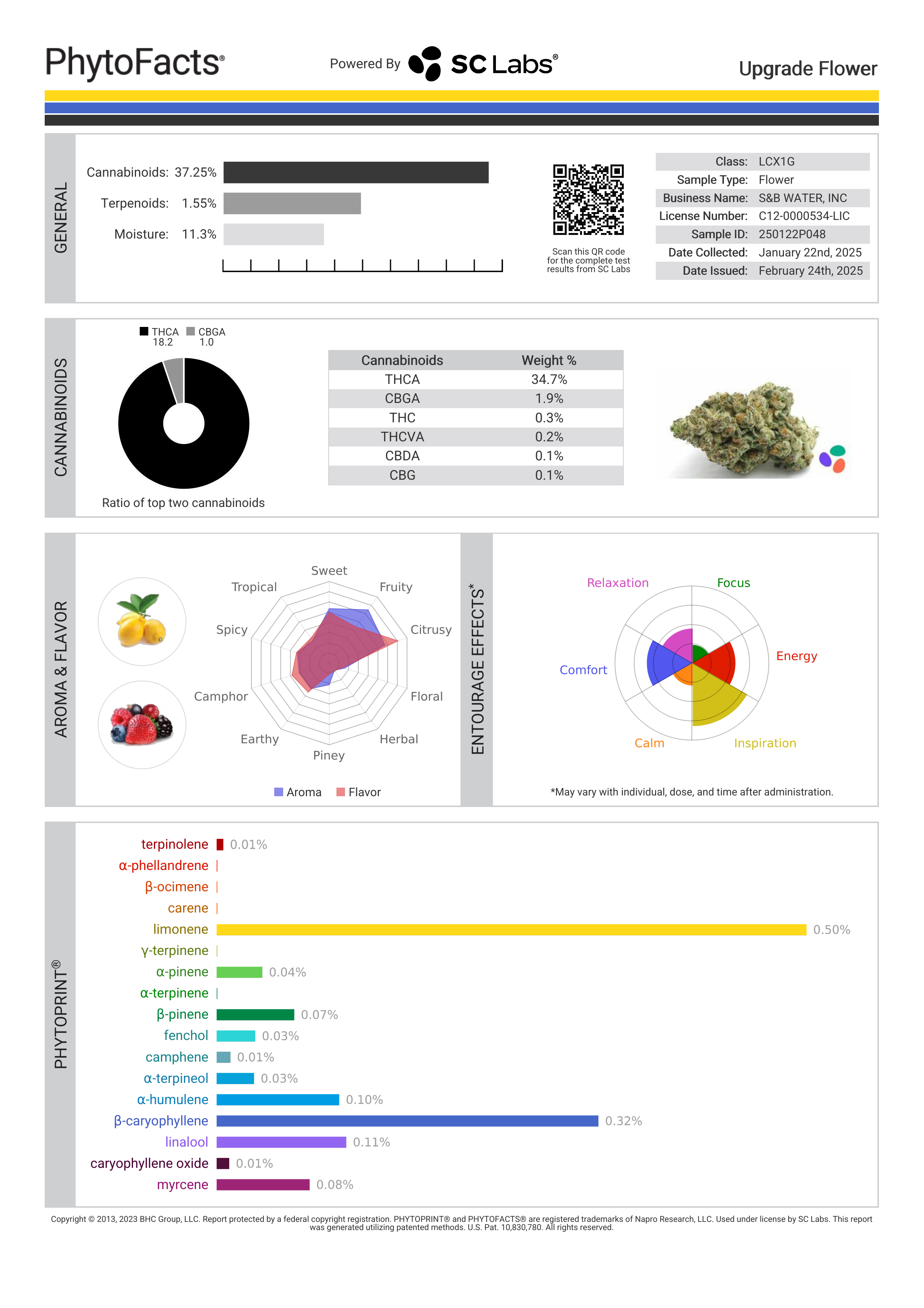 Strain Phytofacts