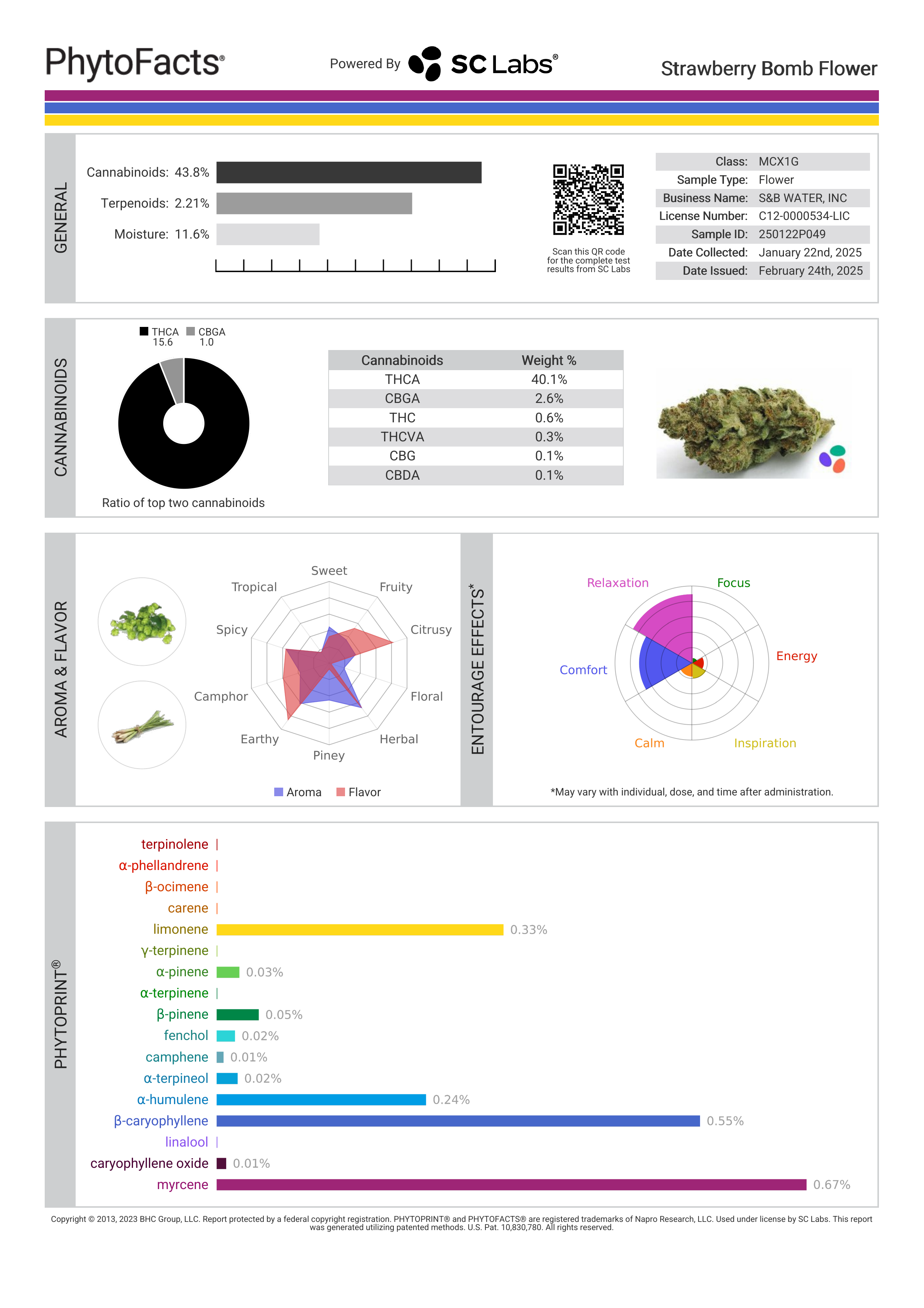 Strain Phytofacts