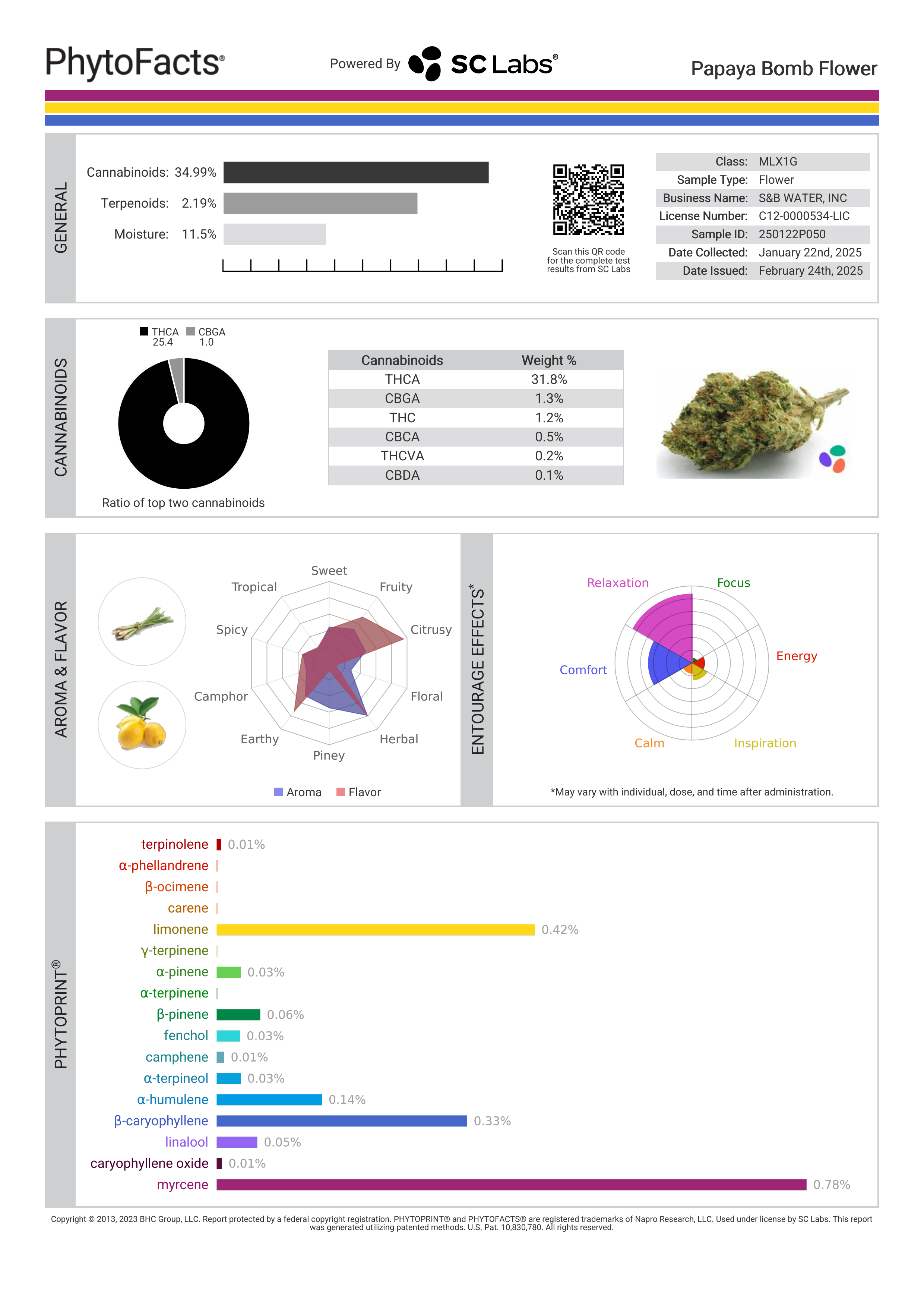 Strain Phytofacts