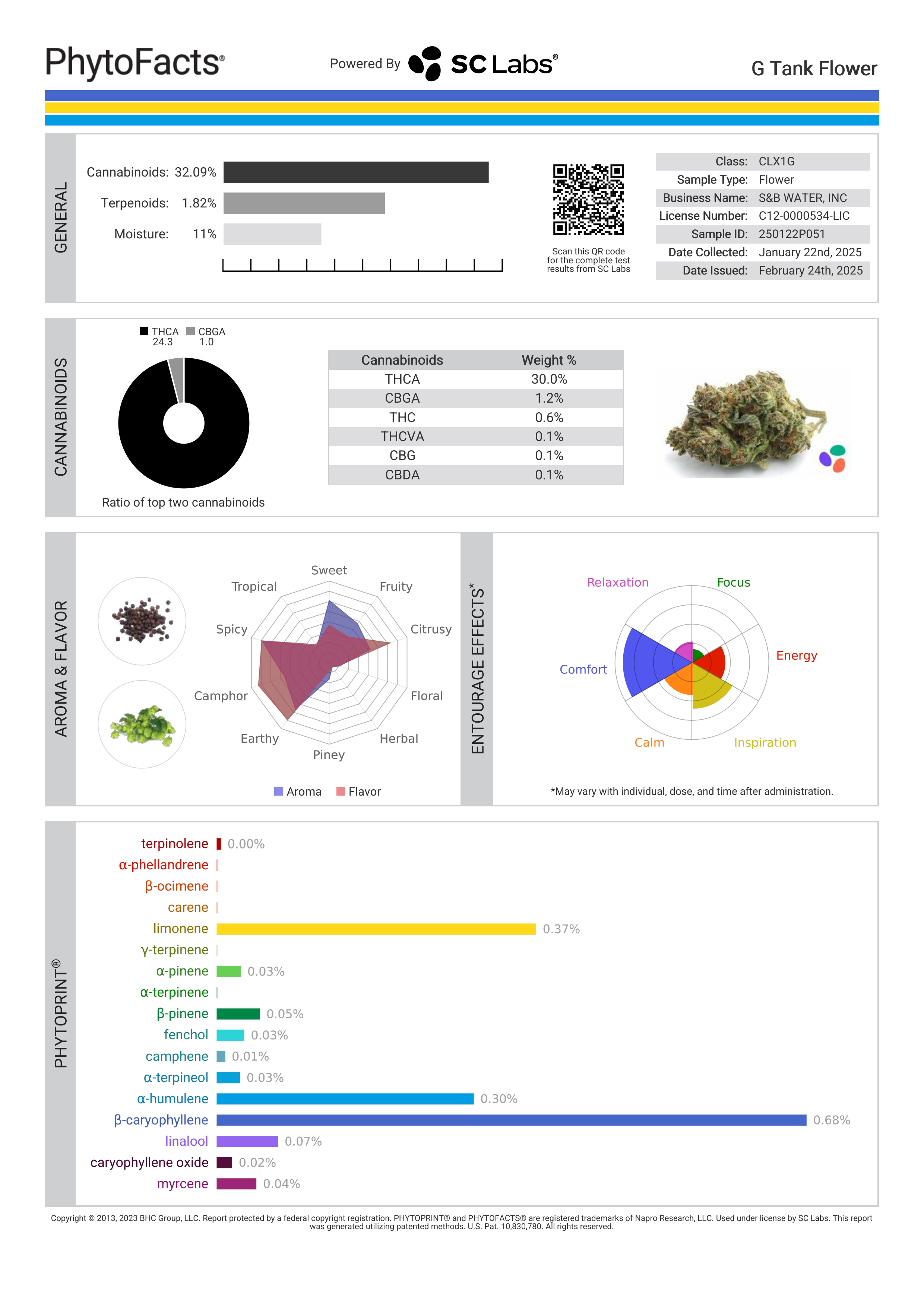 Strain Phytofacts
