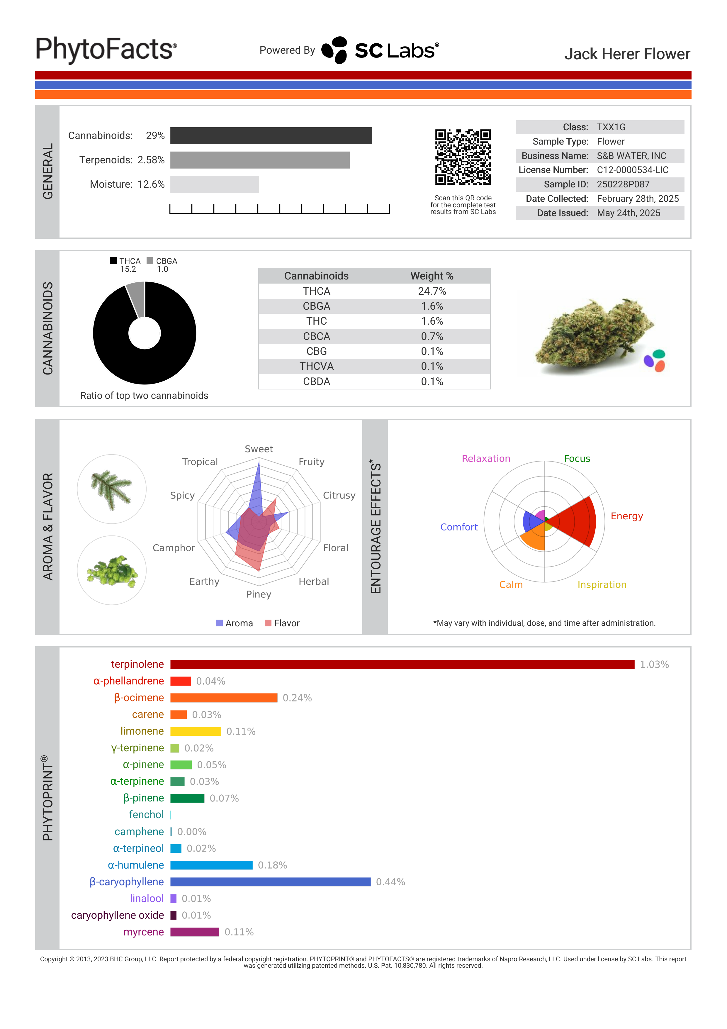 Strain Phytofacts