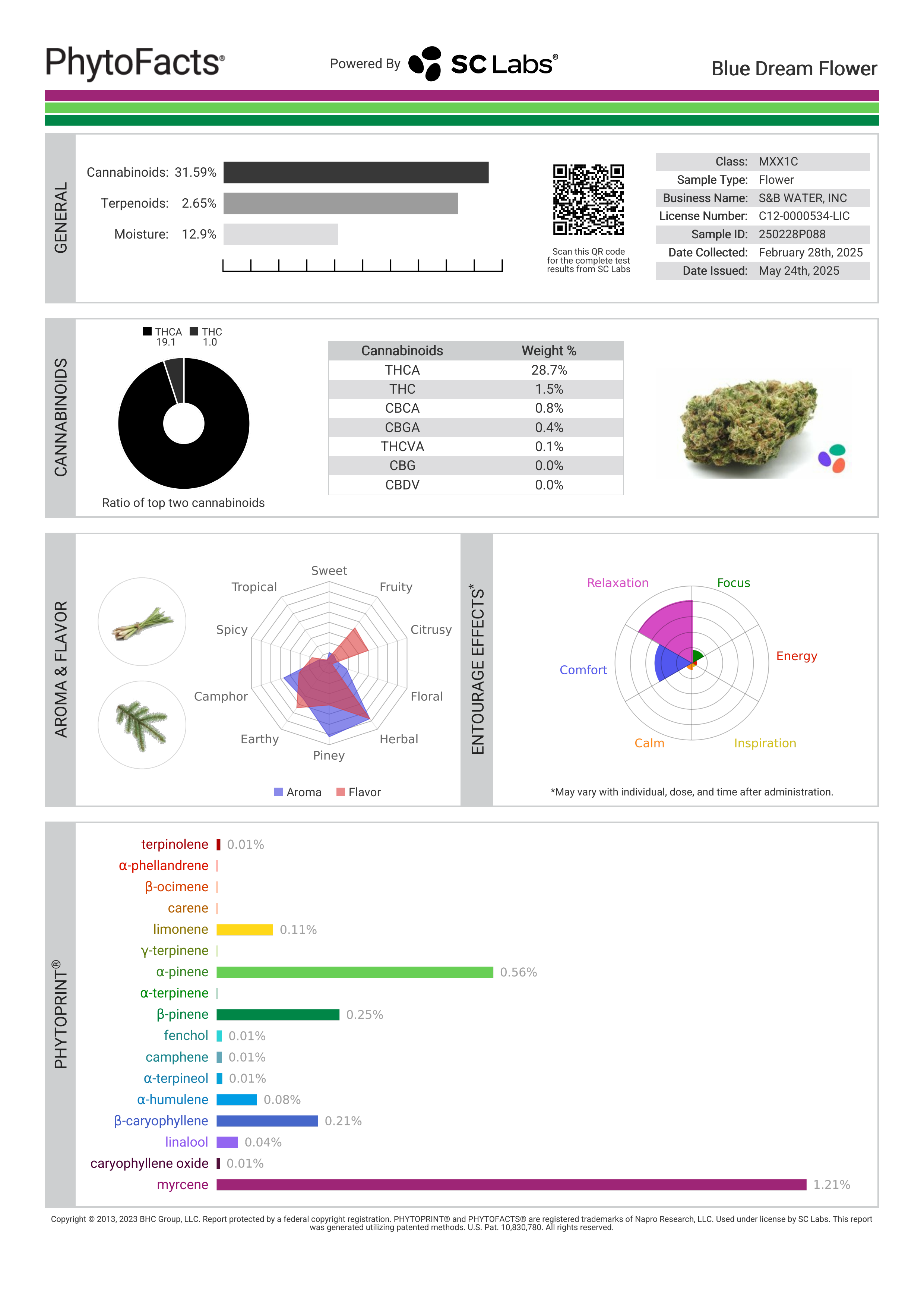 Strain Phytofacts