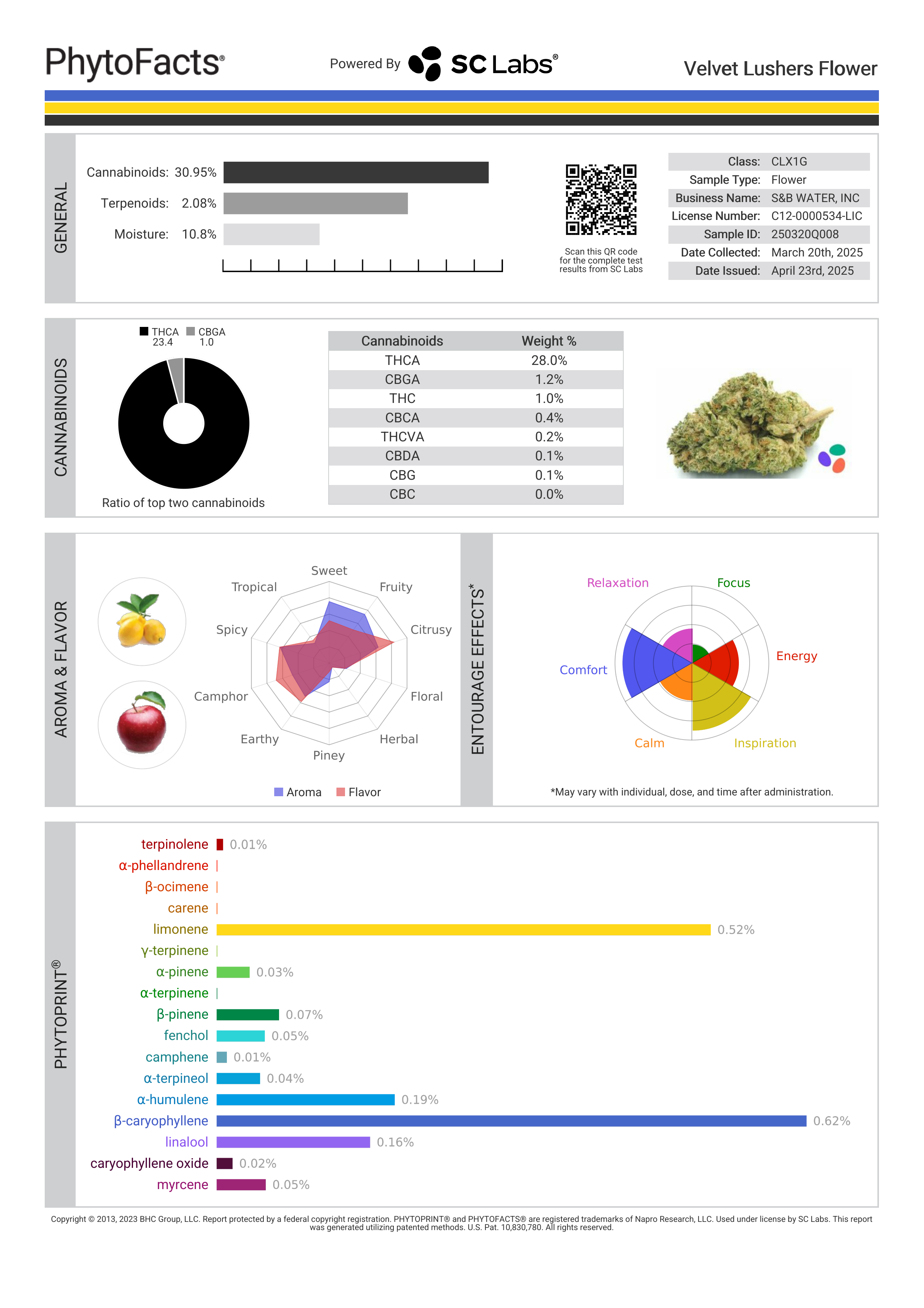 Strain Phytofacts