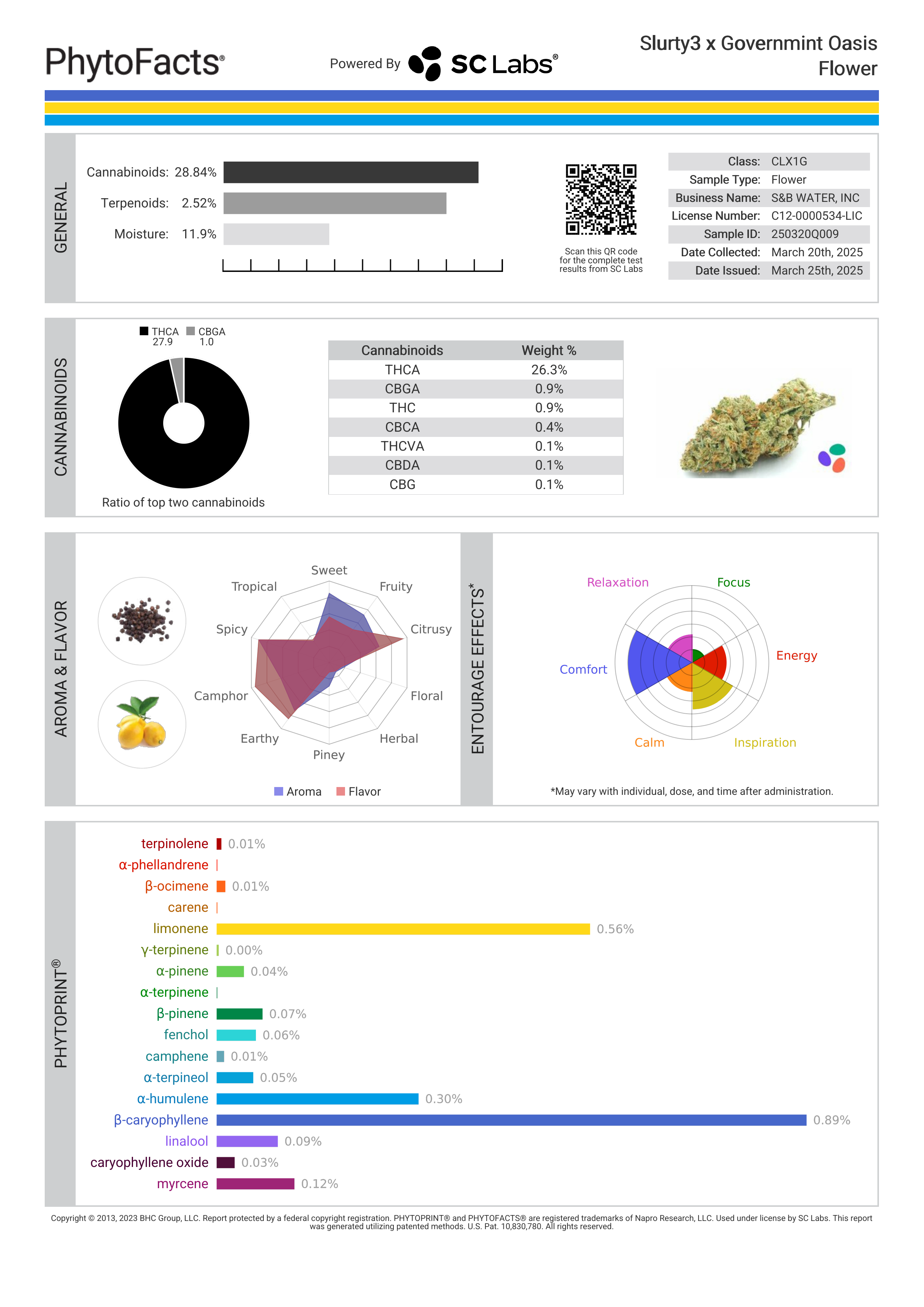 Strain Phytofacts
