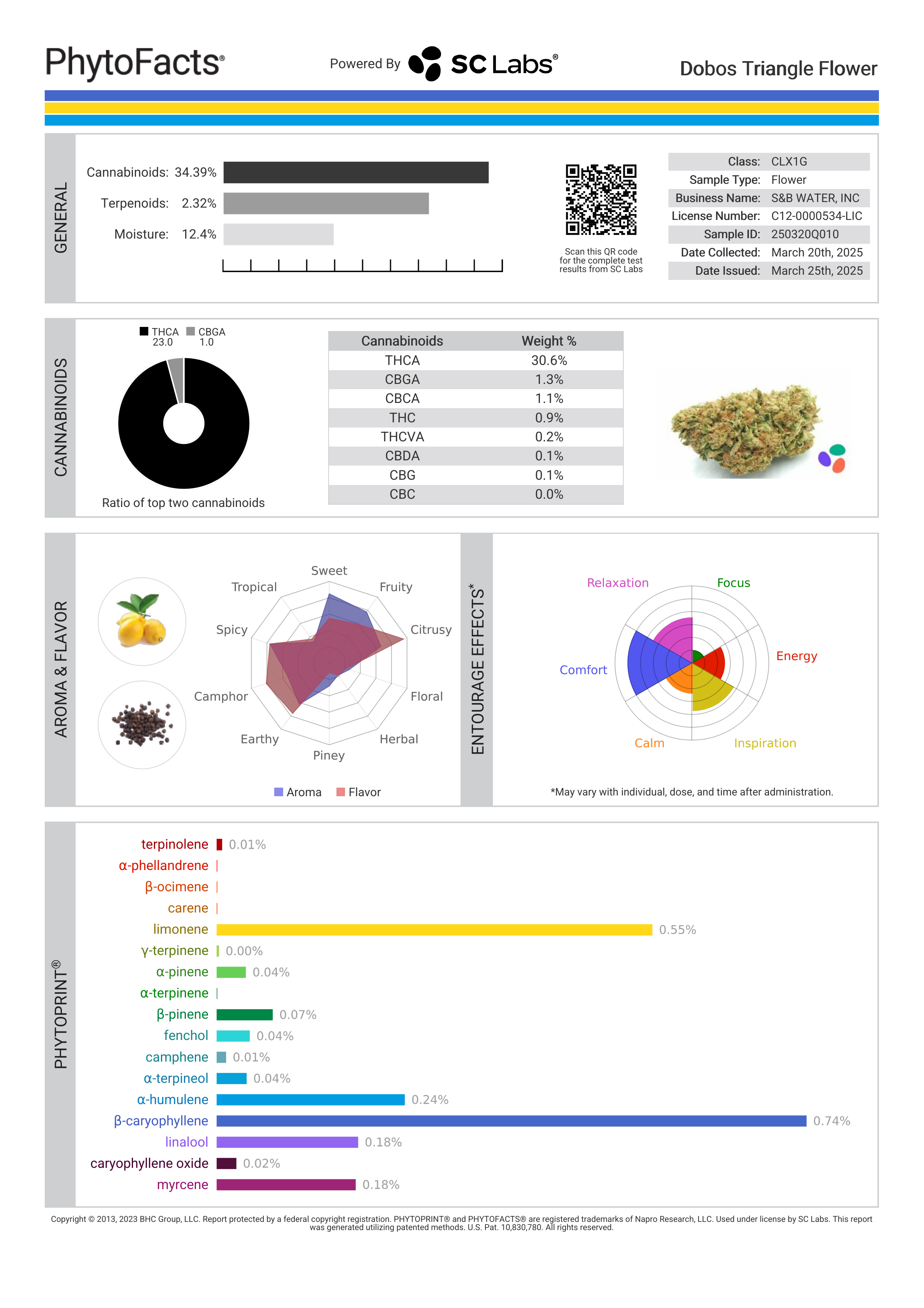 Strain Phytofacts