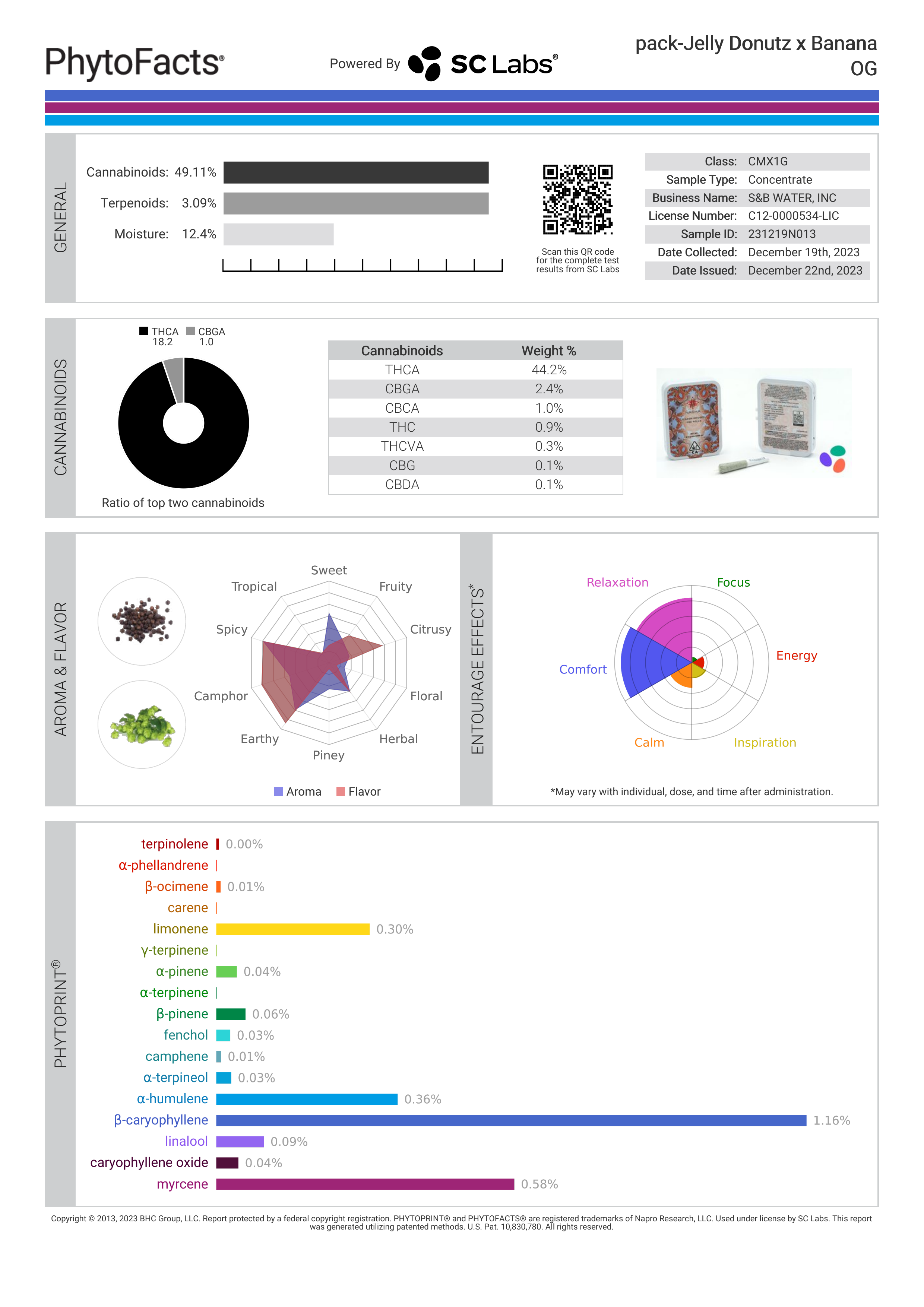 Strain Phytofacts